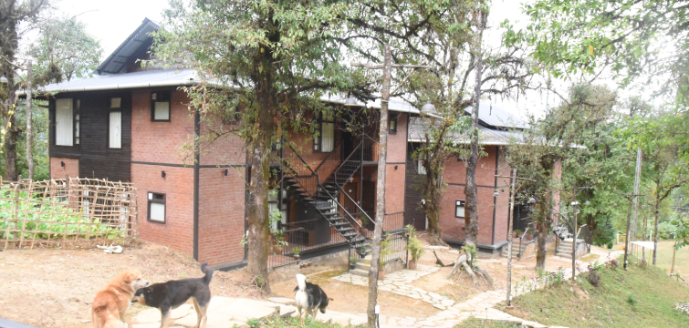 Red Panda Jungle Camp